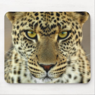Fierce Leopard Mouse Pad