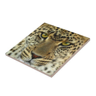 Fierce Leopard Tile