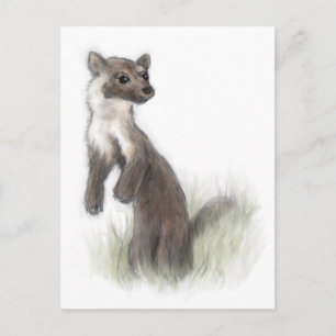 Fierce Little Pine Marten Postcard