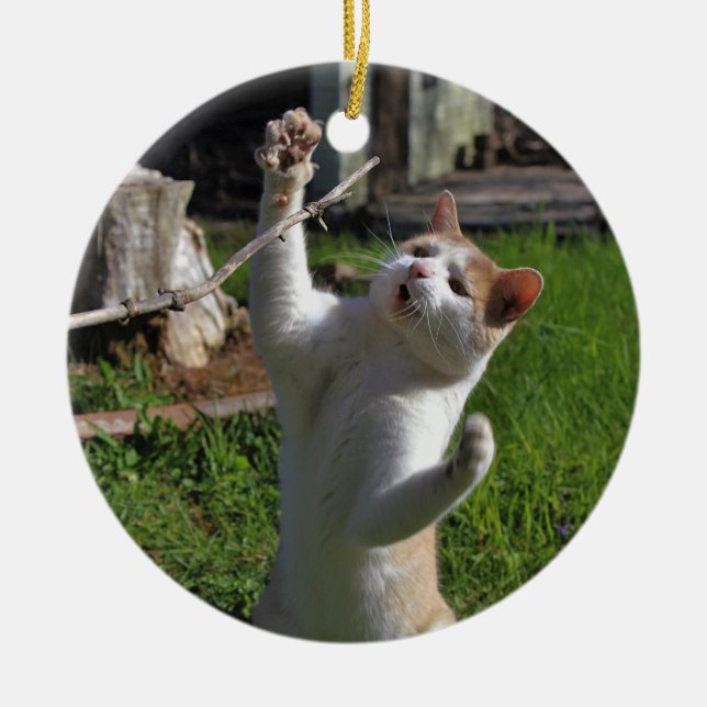 Fierce Predator Ceramic Tree Decoration (Front)