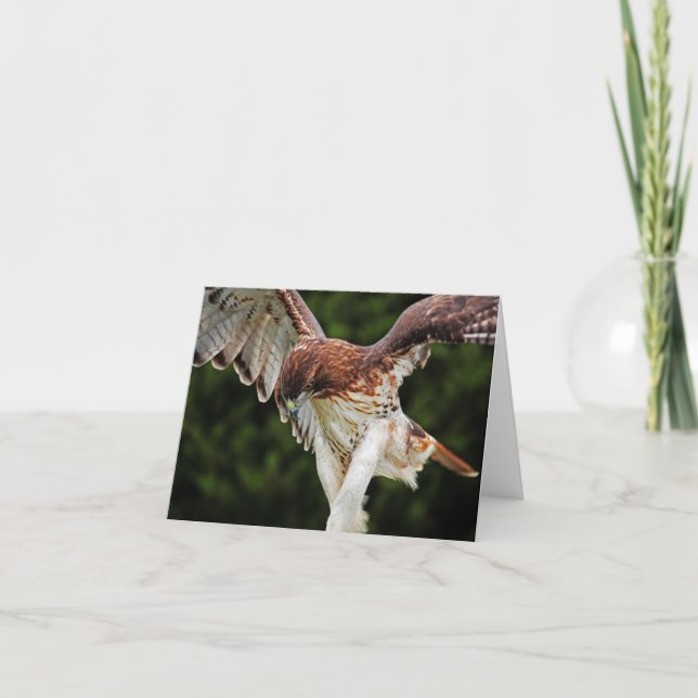 Fierce Red Tailed Hawk note card (Front)