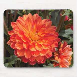 Fiery Dahlia Mouse Pad