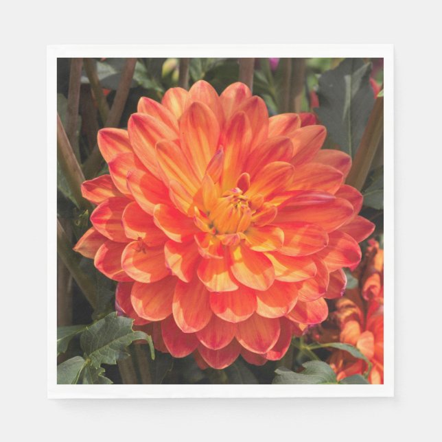Fiery Dahlia Napkin (Front)