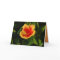 Fiery Hibiscus Happy Birthday Card