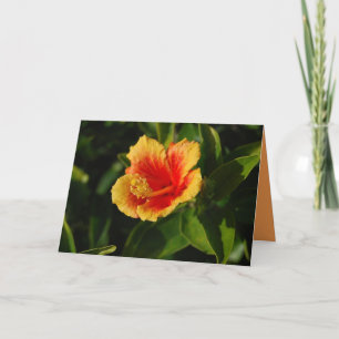 Fiery Hibiscus Happy Birthday Card