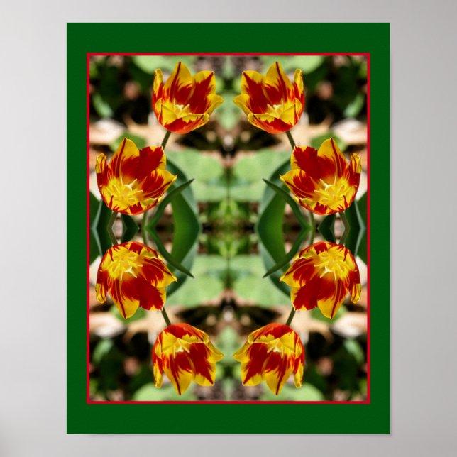 Fiery Red And Yellow Tulip Flowers Abstract Poster (Front)