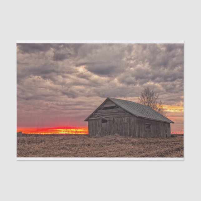 Fiery Red Sunrise Teasing an Isolated Barn Tissue Paper (Front)