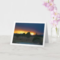 Fiery Sky Night Orchard Landscape