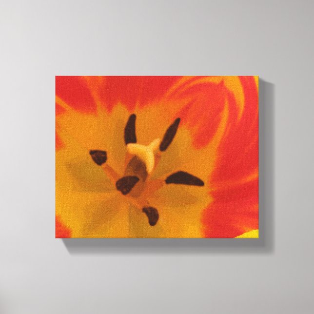 Fiery Tulip Canvas Print (Front)