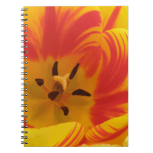 Fiery Tulip Notebook