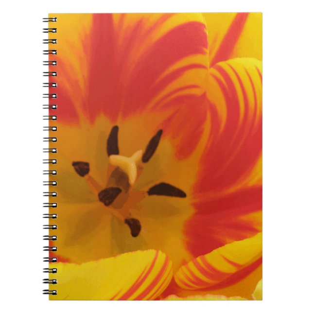 Fiery Tulip Notebook (Front)