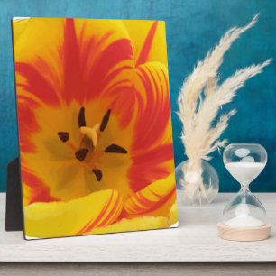 Fiery Tulip Plaque