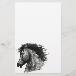 Fiery Wild Horse