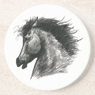 Fiery Wild Horse Coaster