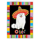 Fiesta American Eskimo Dog