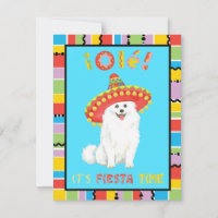 Fiesta American Eskimo Dog