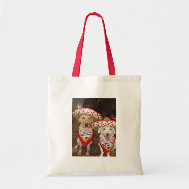 Fiesta Bag (Front)