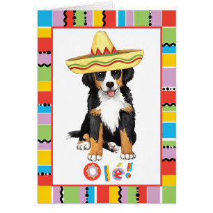 Fiesta Berner Greeting Card