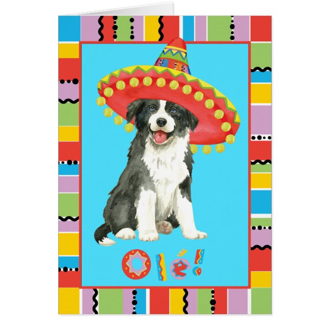 Fiesta Border Collie Greeting Card (Front)