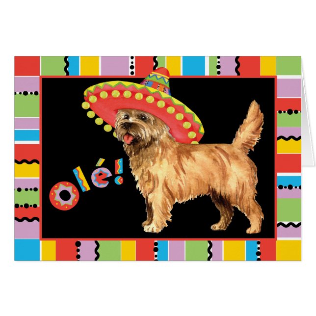Fiesta Cairn Terrier Greeting Card (Front Horizontal)