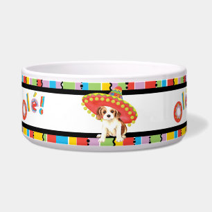 Fiesta Cavalier
