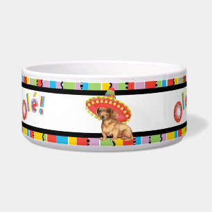 Fiesta Dachshund