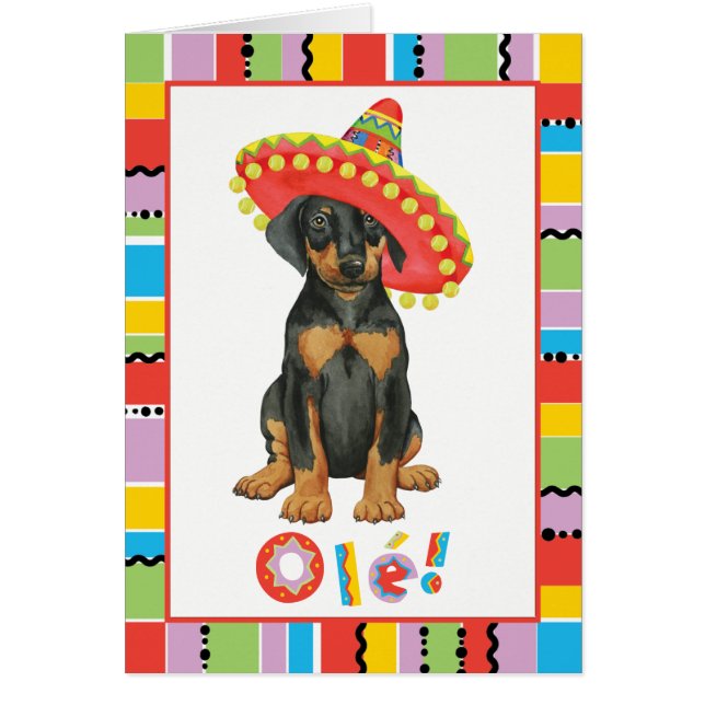 Fiesta Doberman Pinscher (Front)