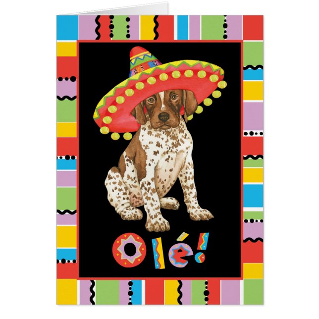 Fiesta German Shorthaired Pointer Card (Front)