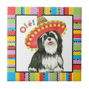 Fiesta Havanese Tile