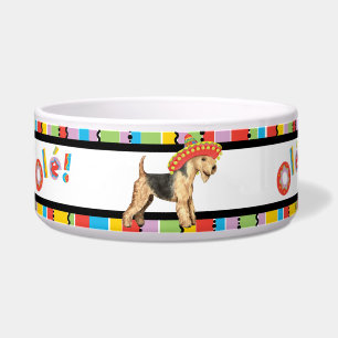 Fiesta Lakeland Terrier