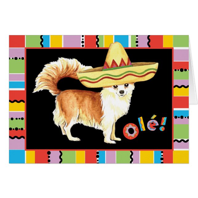 Fiesta Long Coat Chihuahua Greeting Card (Front Horizontal)