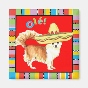 Fiesta Long Coat Chihuahua Magnet
