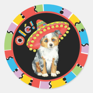 Fiesta Miniature American Shepherd Classic Round Sticker