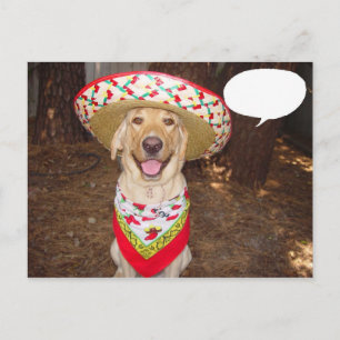 Fiesta Moses Postcard