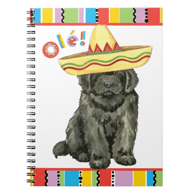 Fiesta Newfoundland Notebook (Front)