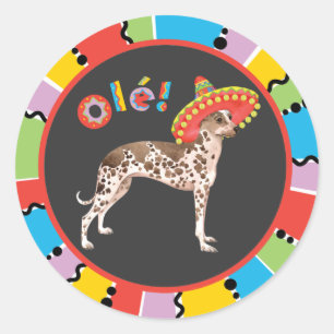Fiesta Peruvian Inca Orchid Classic Round Sticker
