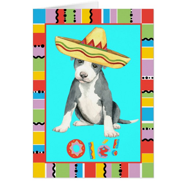 Fiesta Pit Bull Terrier Greeting Card (Front)