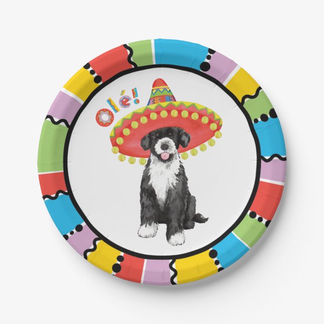 Fiesta PWD Paper Plate (Front)