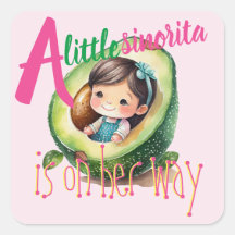 Fiesta Sinorita Baby Girl Shower Partyware Favours