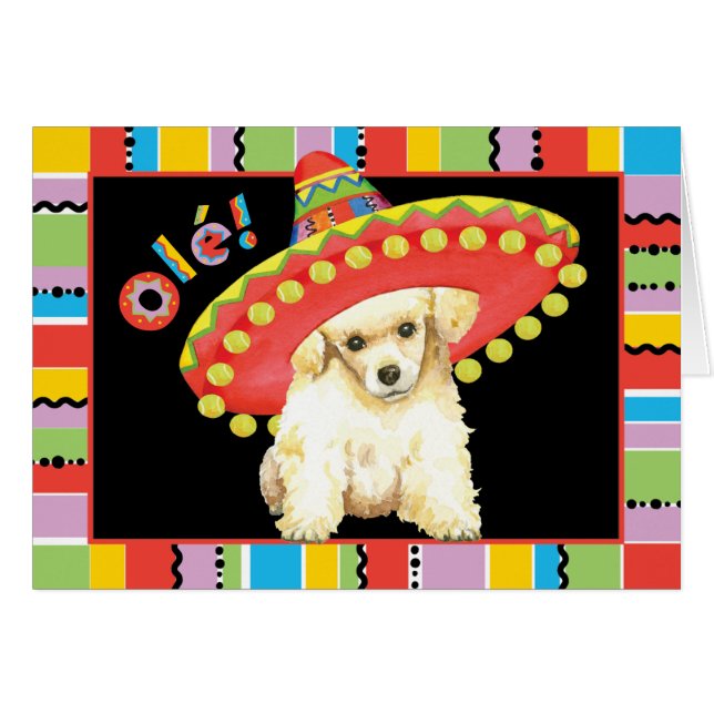 Fiesta Toy Poodle Greeting Card (Front Horizontal)