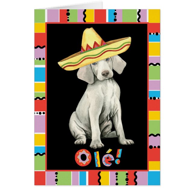 Fiesta Weimaraner Greeting Card (Front)