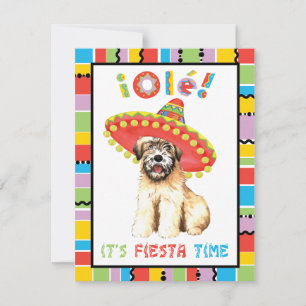 Fiesta Wheaten Invitation