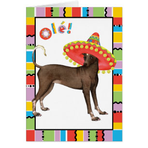 Fiesta Xolo Greeting Card