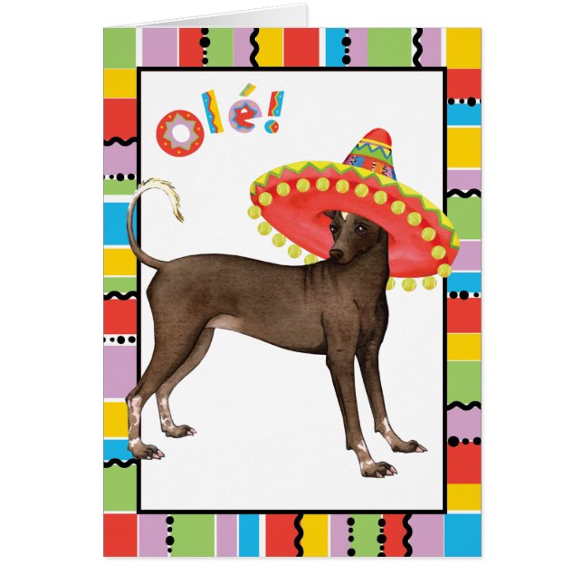 Fiesta Xolo Greeting Card (Front)