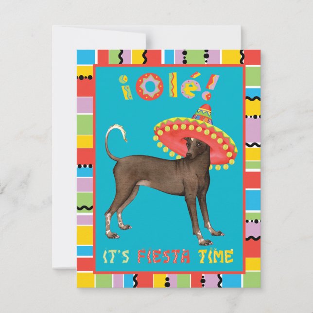 Fiesta Xolo Invitation (Front)