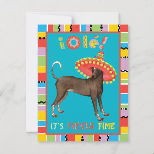 Fiesta Xolo Invitation