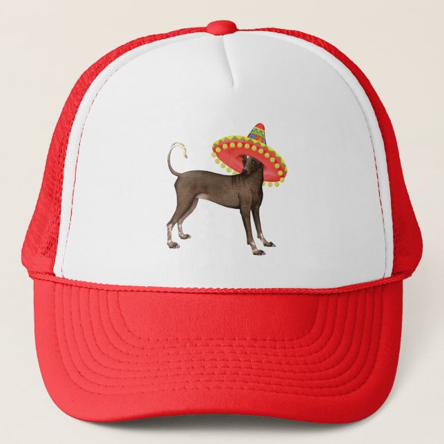 Fiesta Xolo Trucker Hat (Front)