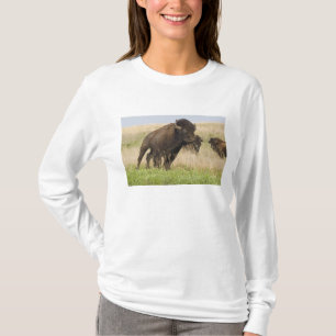 Fiesty young bison bull at the Tallgrass T-Shirt