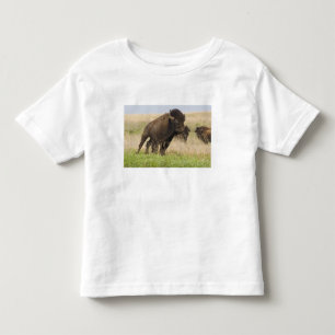 Fiesty young bison bull at the Tallgrass Toddler T-Shirt