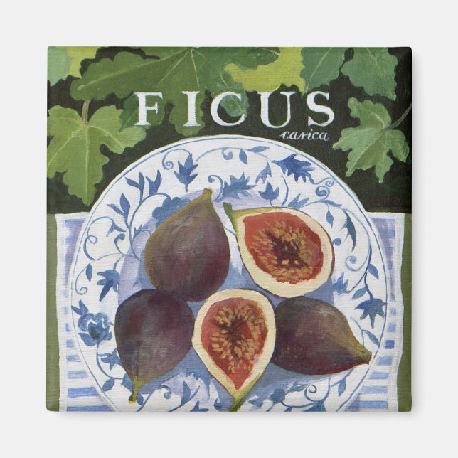 Fieus Magnet (Front)